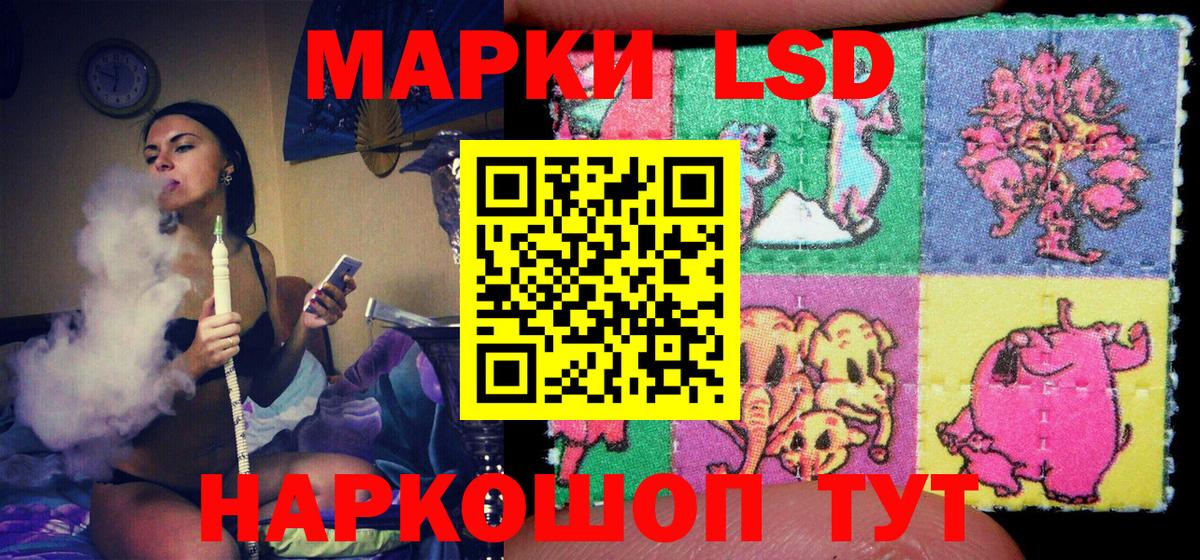 Аргун  где купить наркотик  Наркотические марки 1,5мг  Вход с VPN  Наркотические марки 1,5мг  Наркотические марки 