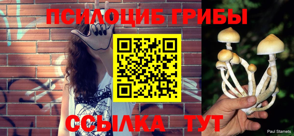 Галлюциногенные грибы GOLDEN TEACHER  Вход с VPN  Галлюциногенные грибы MAGIC MUSHROOMS  Аргун 